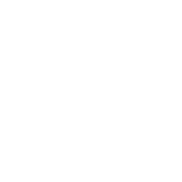 Ícone Twigg